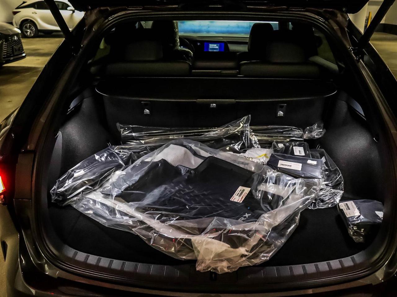 2025 Lexus RX RX 350 Auto Photo