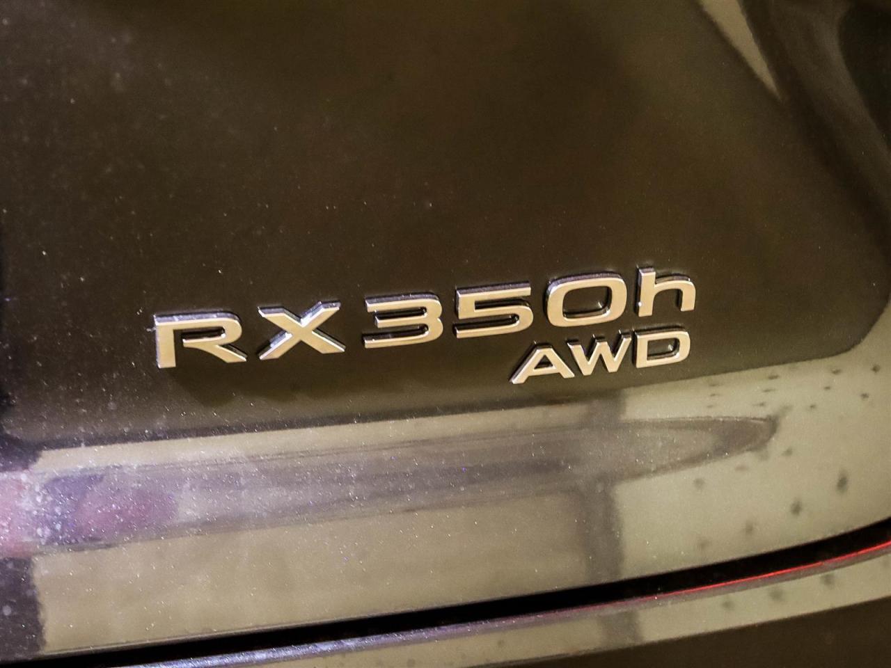 2025 Lexus RX RX 350 Auto Photo