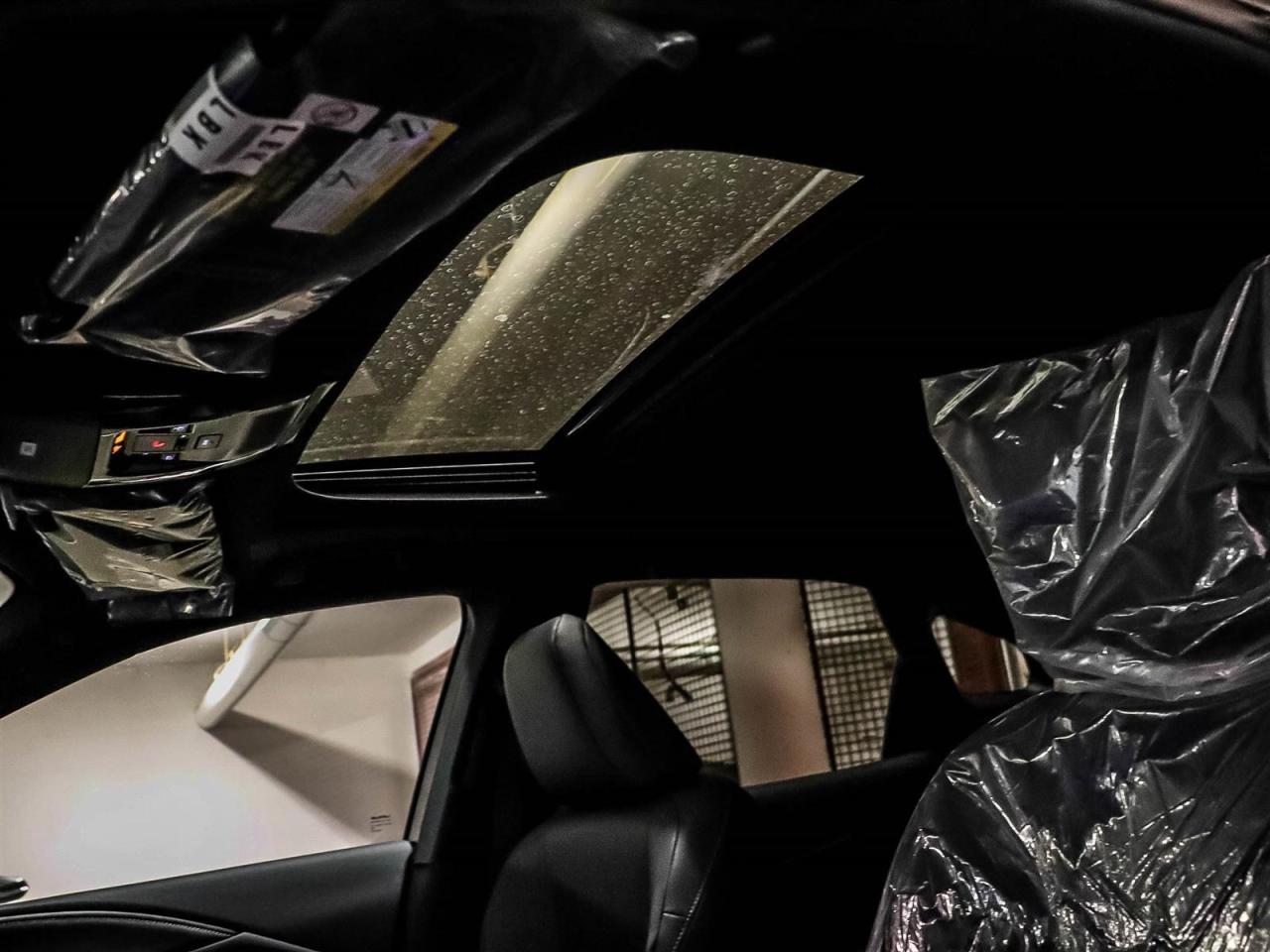 2025 Lexus RX RX 350 Auto Photo