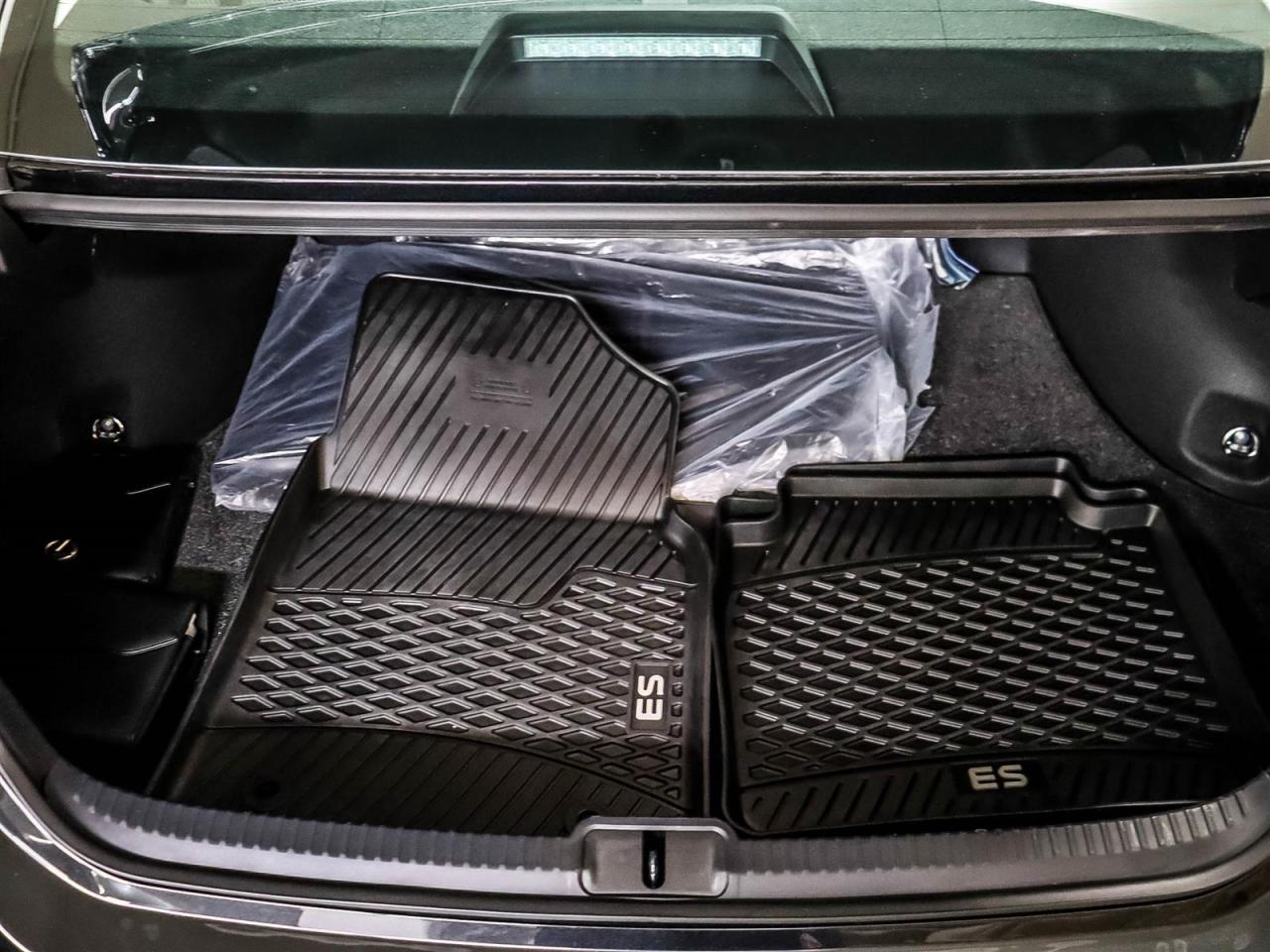 2024 Lexus ES Luxury Pkg Dealer Demonstrator Leasing Available Photo