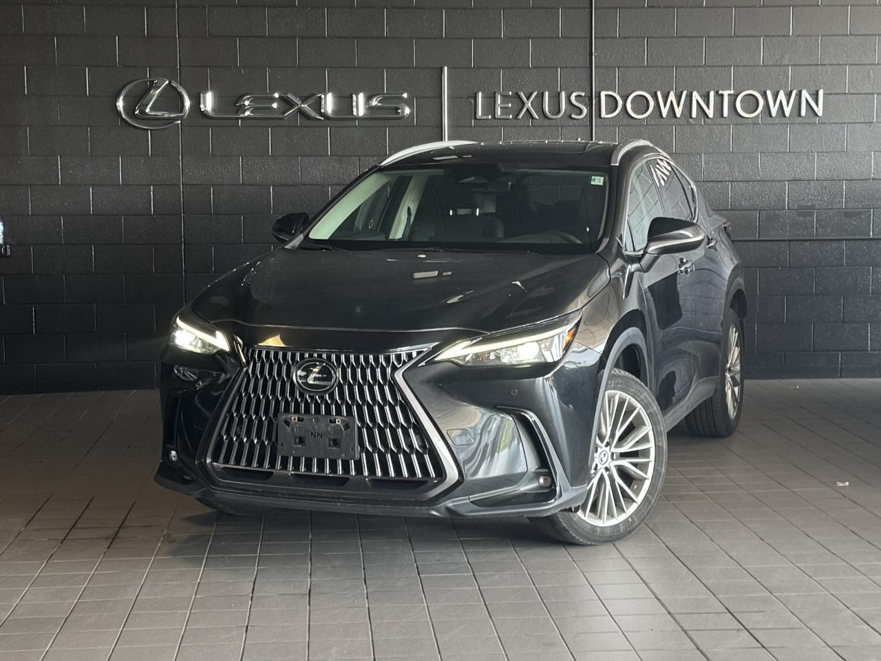 2024 Lexus NX Ultra Premium Pkg Safety Certified Welcome Trades Photo0