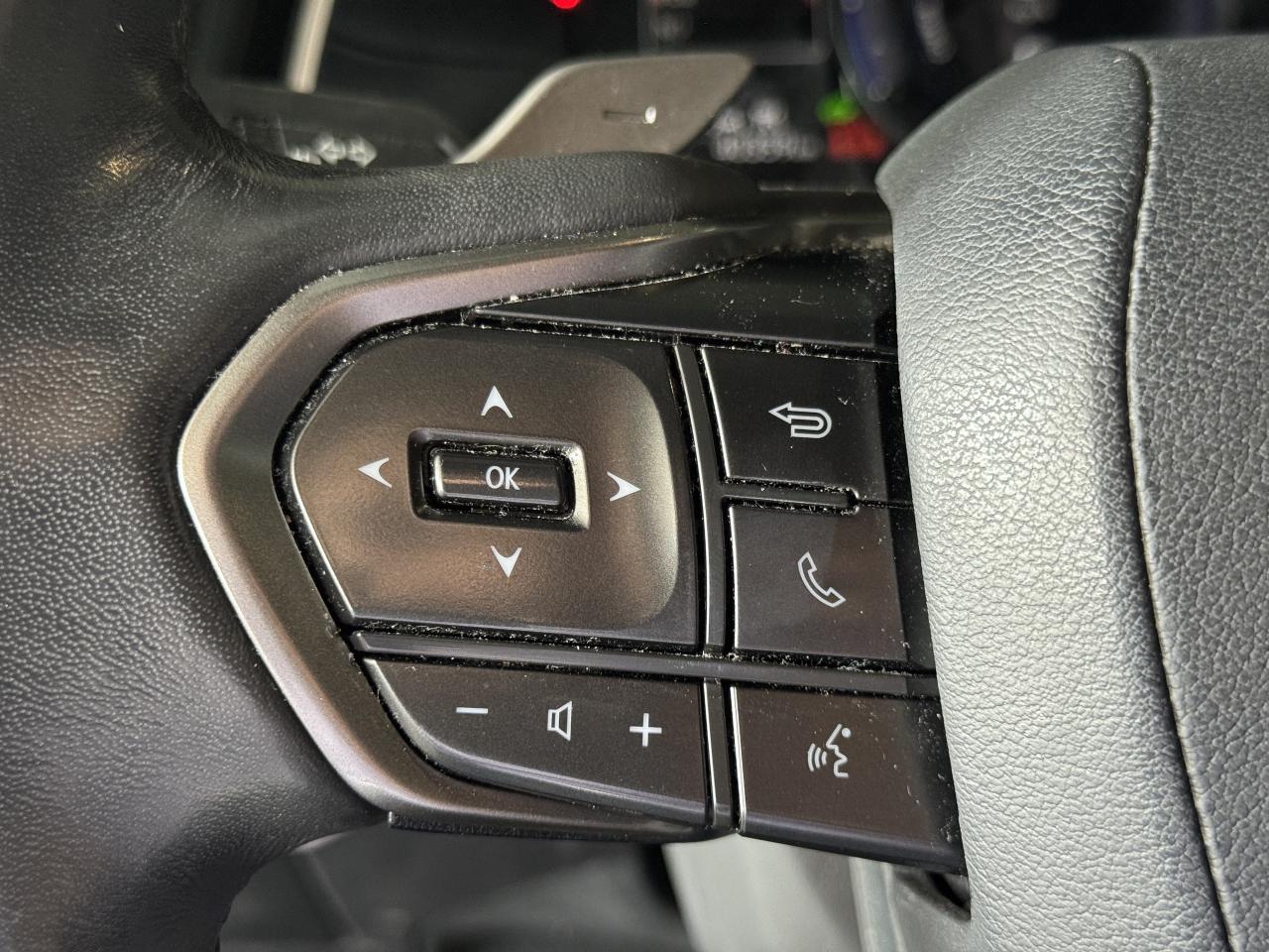 2024 Lexus RX Luxury Pkg Safety Certified Fuel Sipper Photo