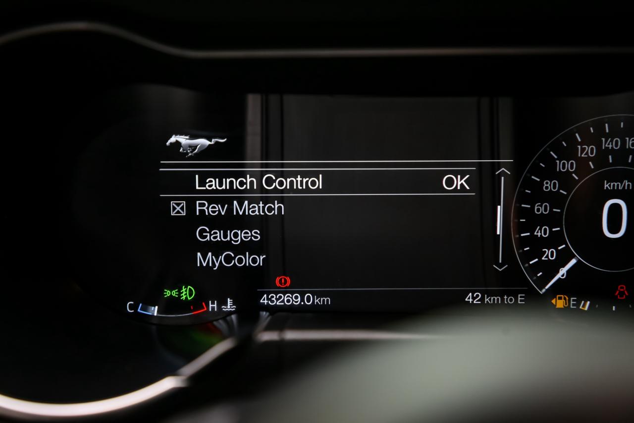 2020 Ford Mustang BULLITT 480 HP MANUAL ELEC.PKG B&O RECARO NAV CAM Photo