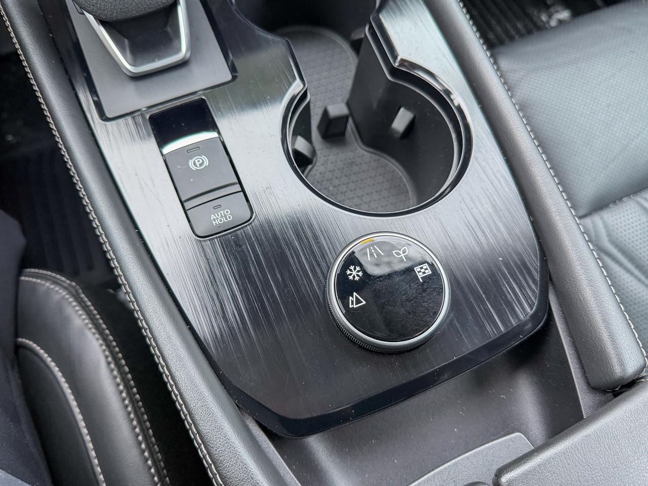 2021 Nissan Rogue AWD Platinum/REMOTE/BSM/LDA/HUD/NAVI/360 CAMERA Photo