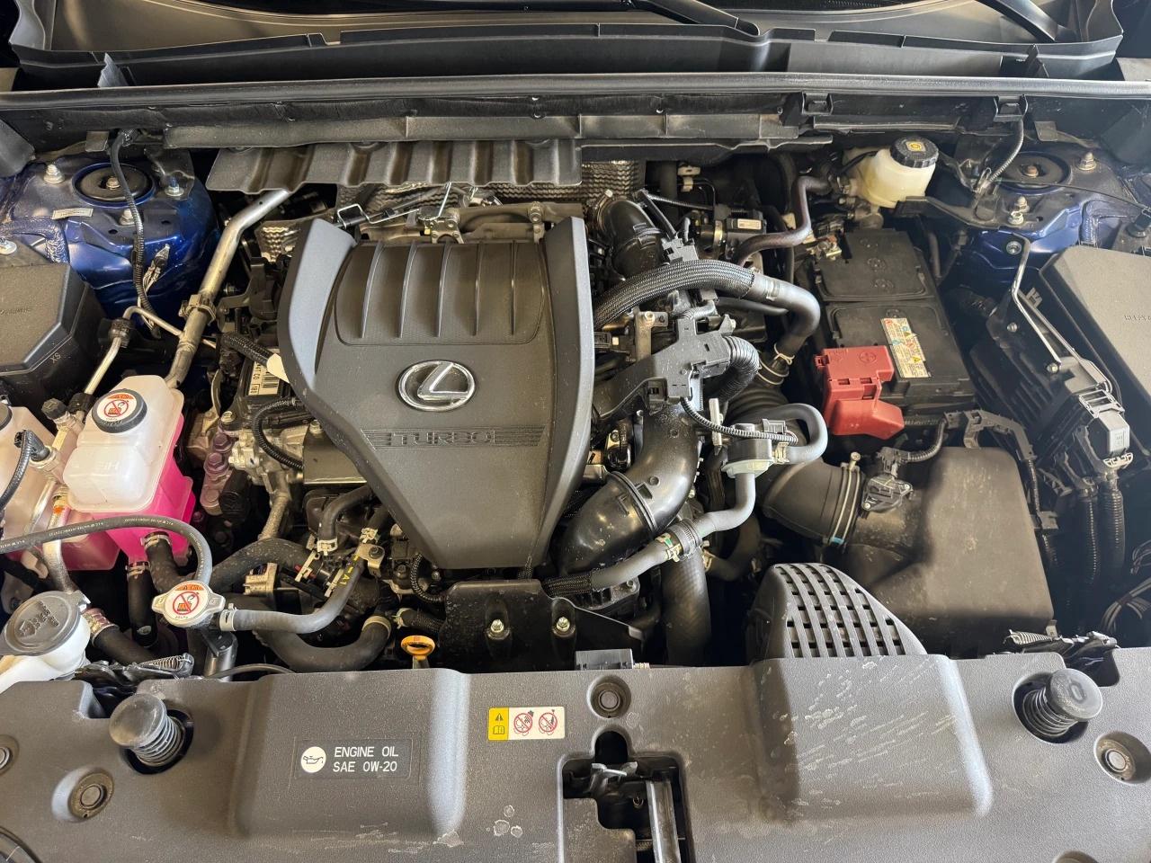 2024 Lexus NX F Sport Pkg 2 Lexus Certified Welcome Trades Photo