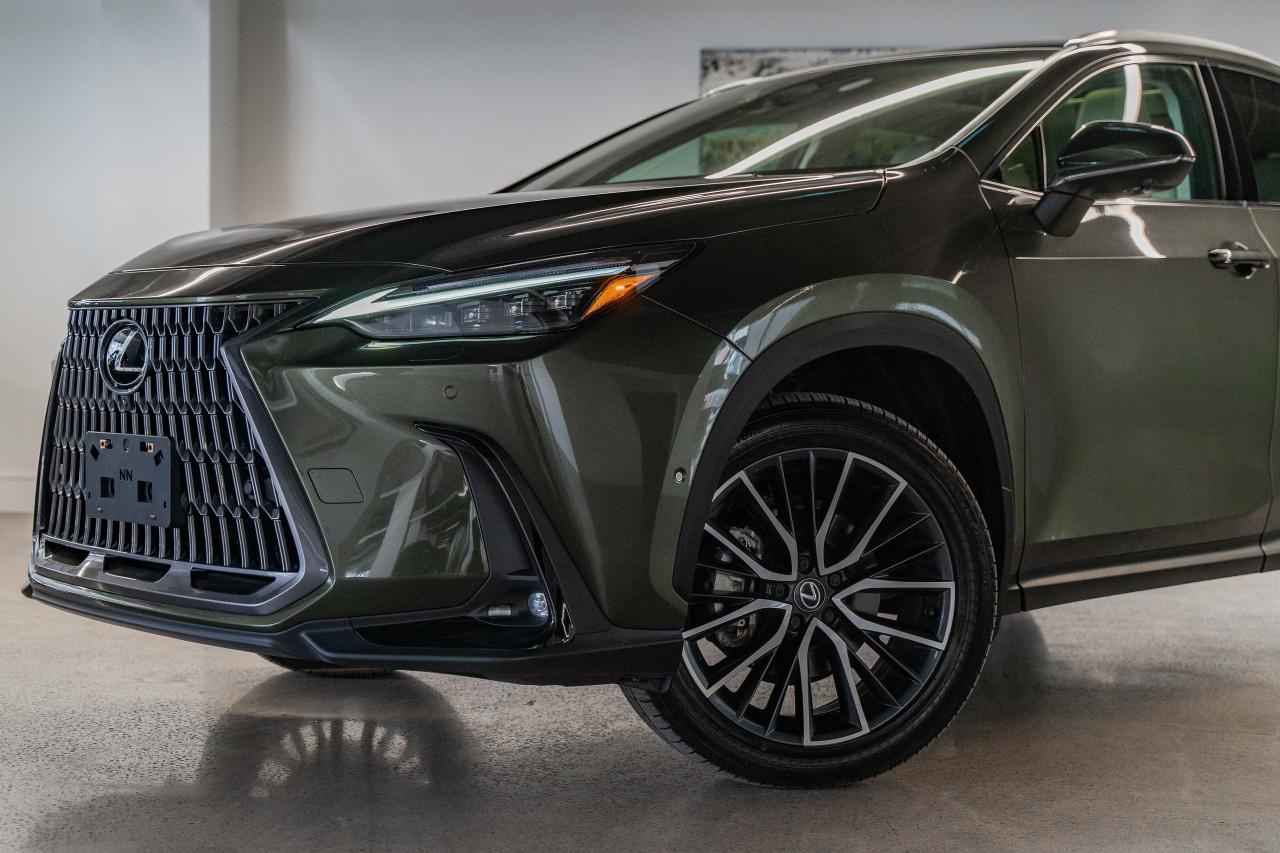 2025 Lexus NX Executive Pkg Nori Green on Macadamia Photo