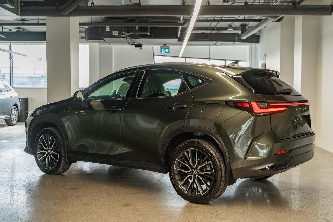 2025 Lexus NX Executive Pkg Nori Green on Macadamia Photo