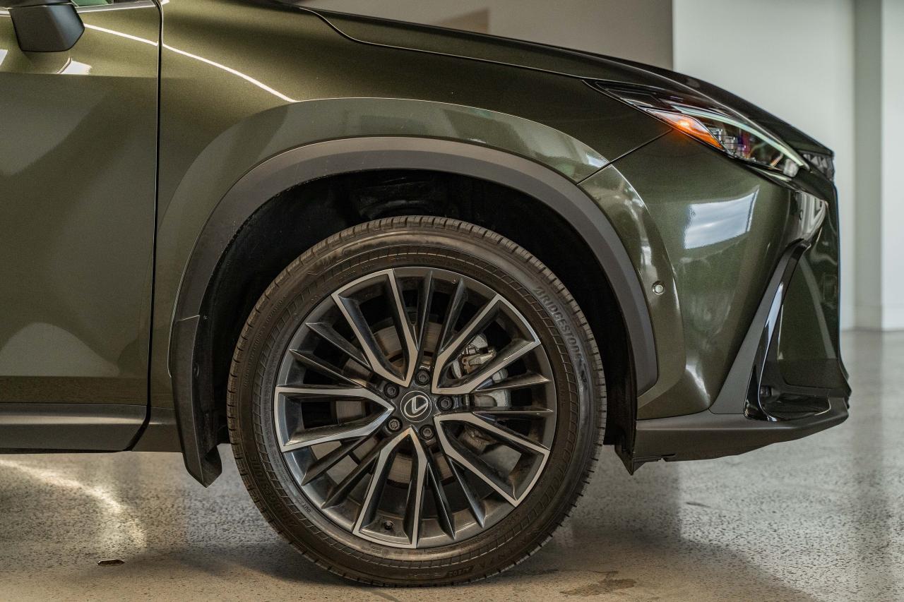 2025 Lexus NX Executive Pkg Nori Green on Macadamia Photo