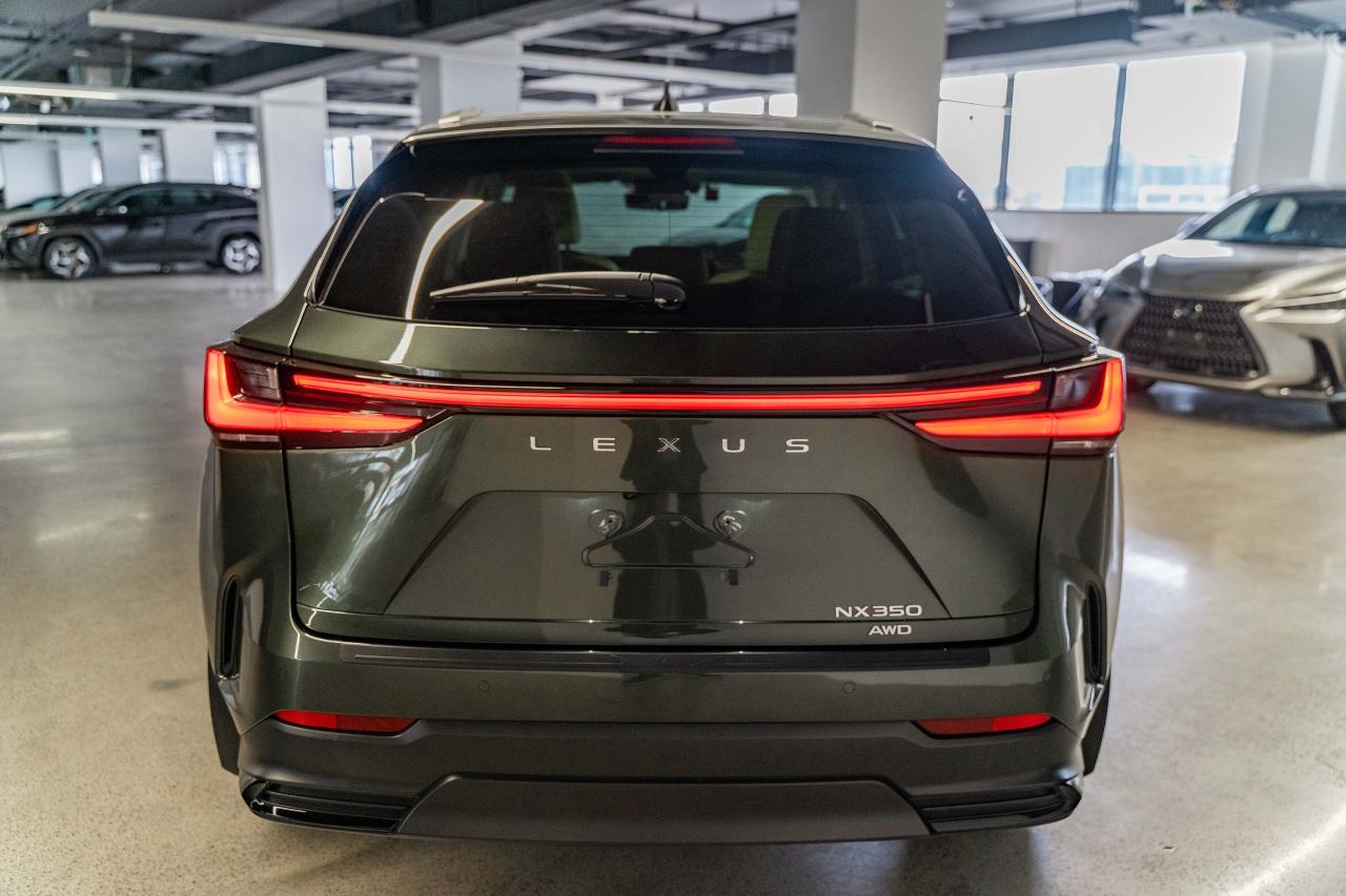 2025 Lexus NX Executive Pkg Nori Green on Macadamia Photo