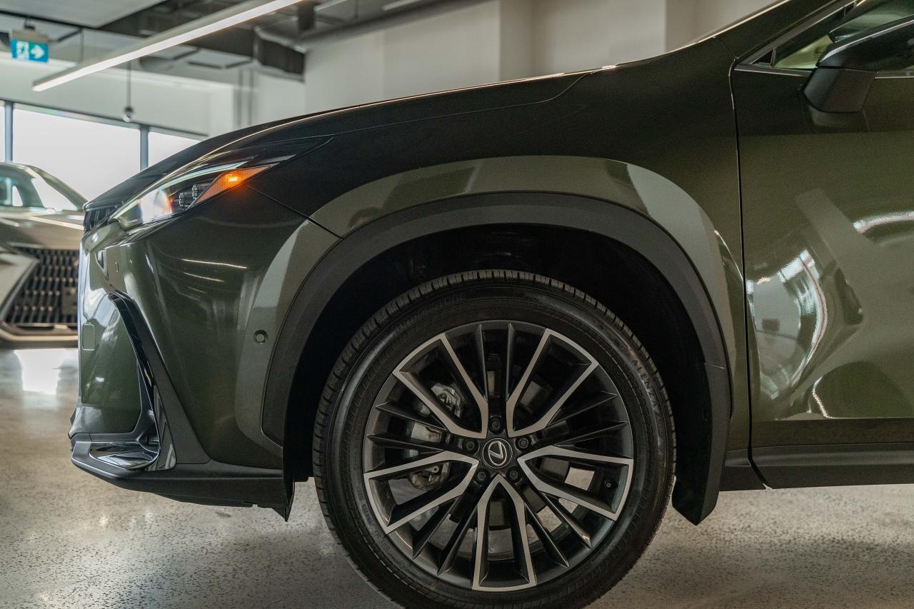 2025 Lexus NX Executive Pkg Nori Green on Macadamia Photo