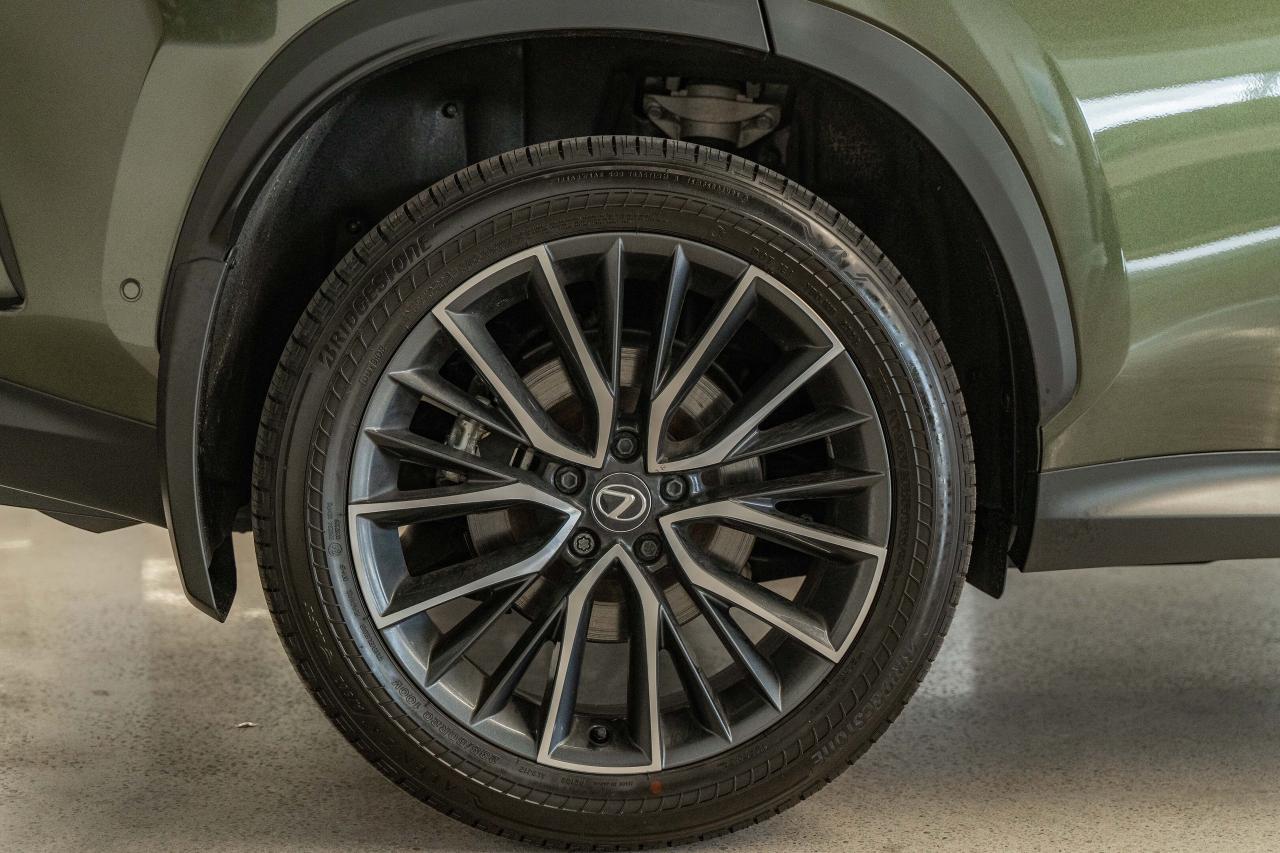 2025 Lexus NX Executive Pkg Nori Green on Macadamia Photo