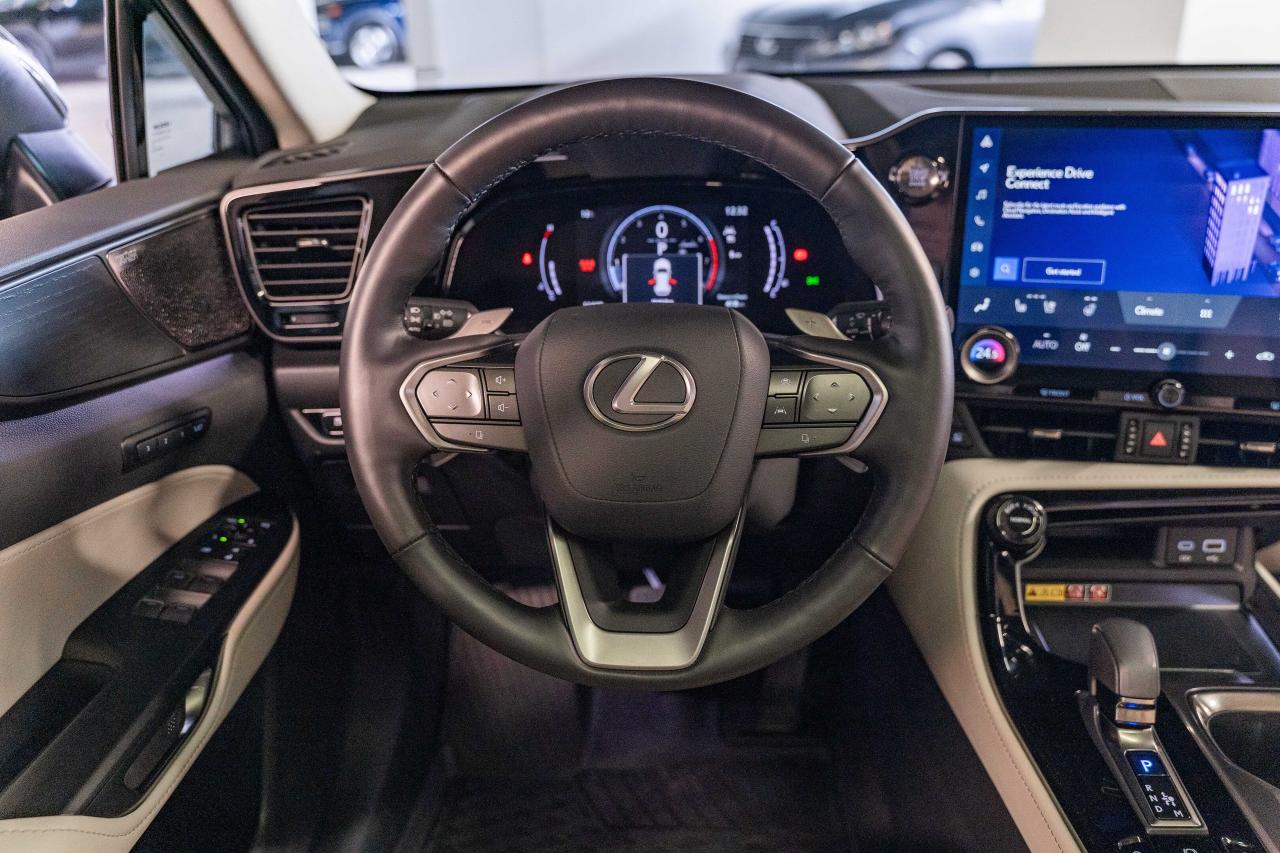 2025 Lexus NX Executive Pkg Nori Green on Macadamia Photo