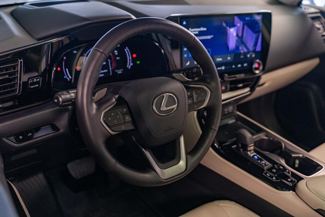 2025 Lexus NX Executive Pkg Nori Green on Macadamia Photo