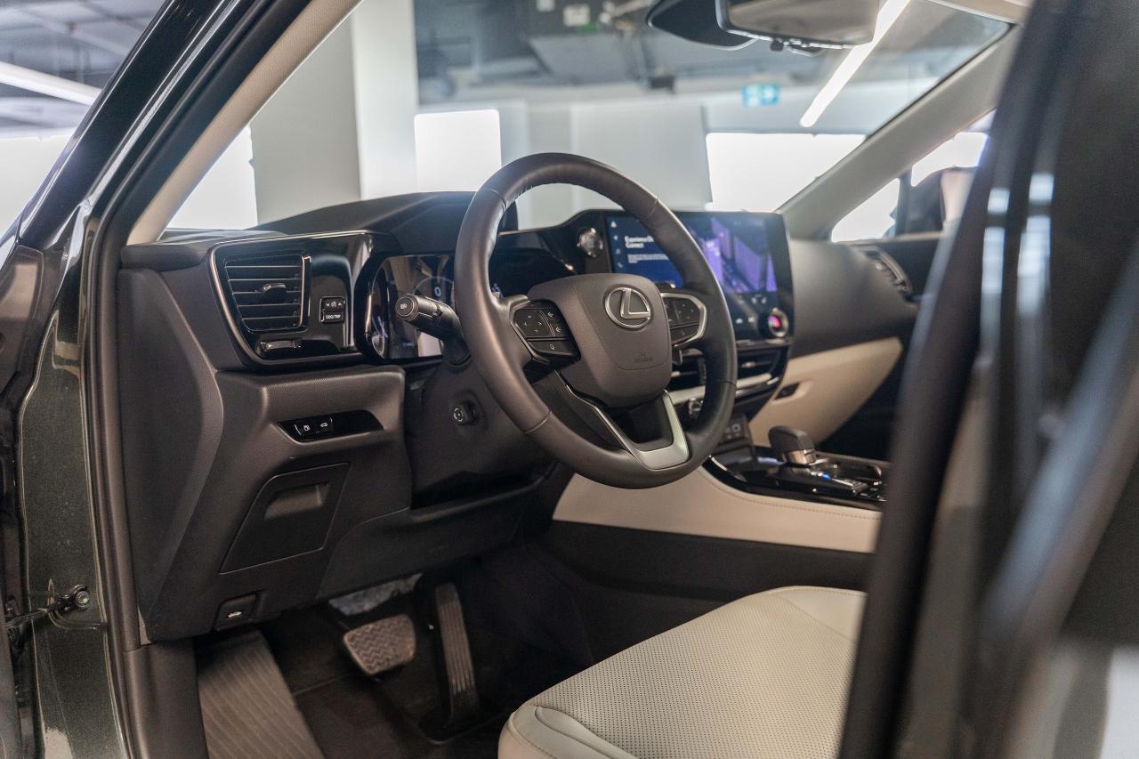 2025 Lexus NX Executive Pkg Nori Green on Macadamia Photo