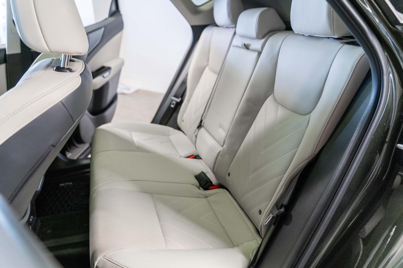 2025 Lexus NX Executive Pkg Nori Green on Macadamia Photo