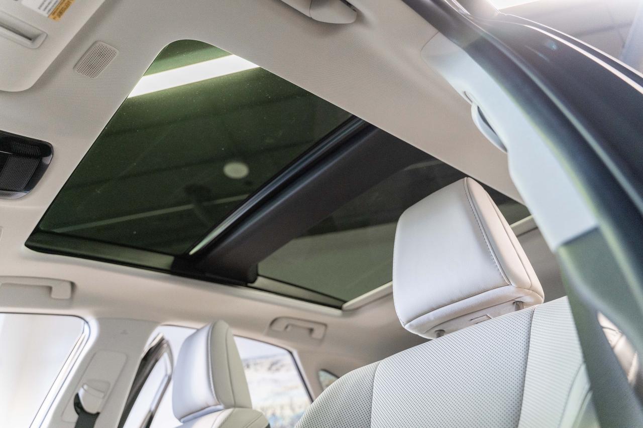 2025 Lexus NX Executive Pkg Nori Green on Macadamia Photo