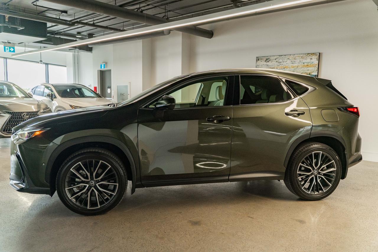 2025 Lexus NX Executive Pkg Nori Green on Macadamia Photo3