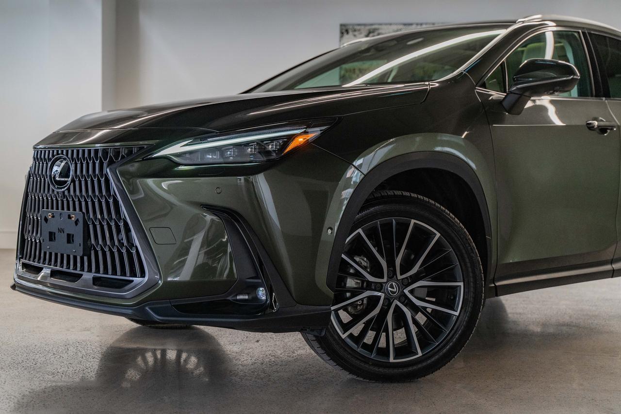 2025 Lexus NX Executive Pkg Nori Green on Macadamia Photo