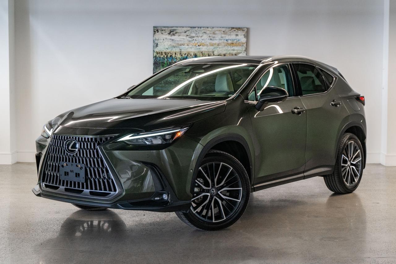 2025 Lexus NX Executive Pkg Nori Green on Macadamia Photo