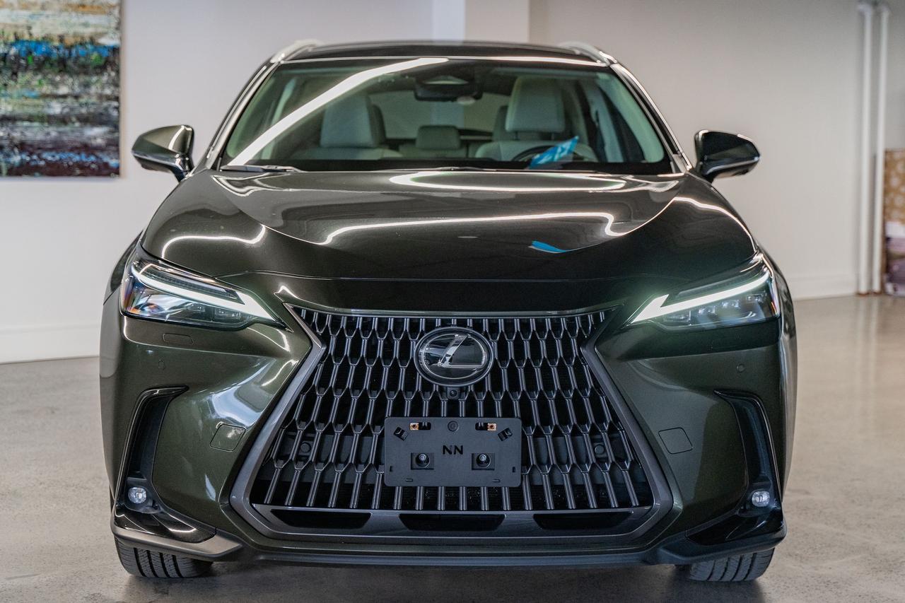 2025 Lexus NX Executive Pkg Nori Green on Macadamia Photo2