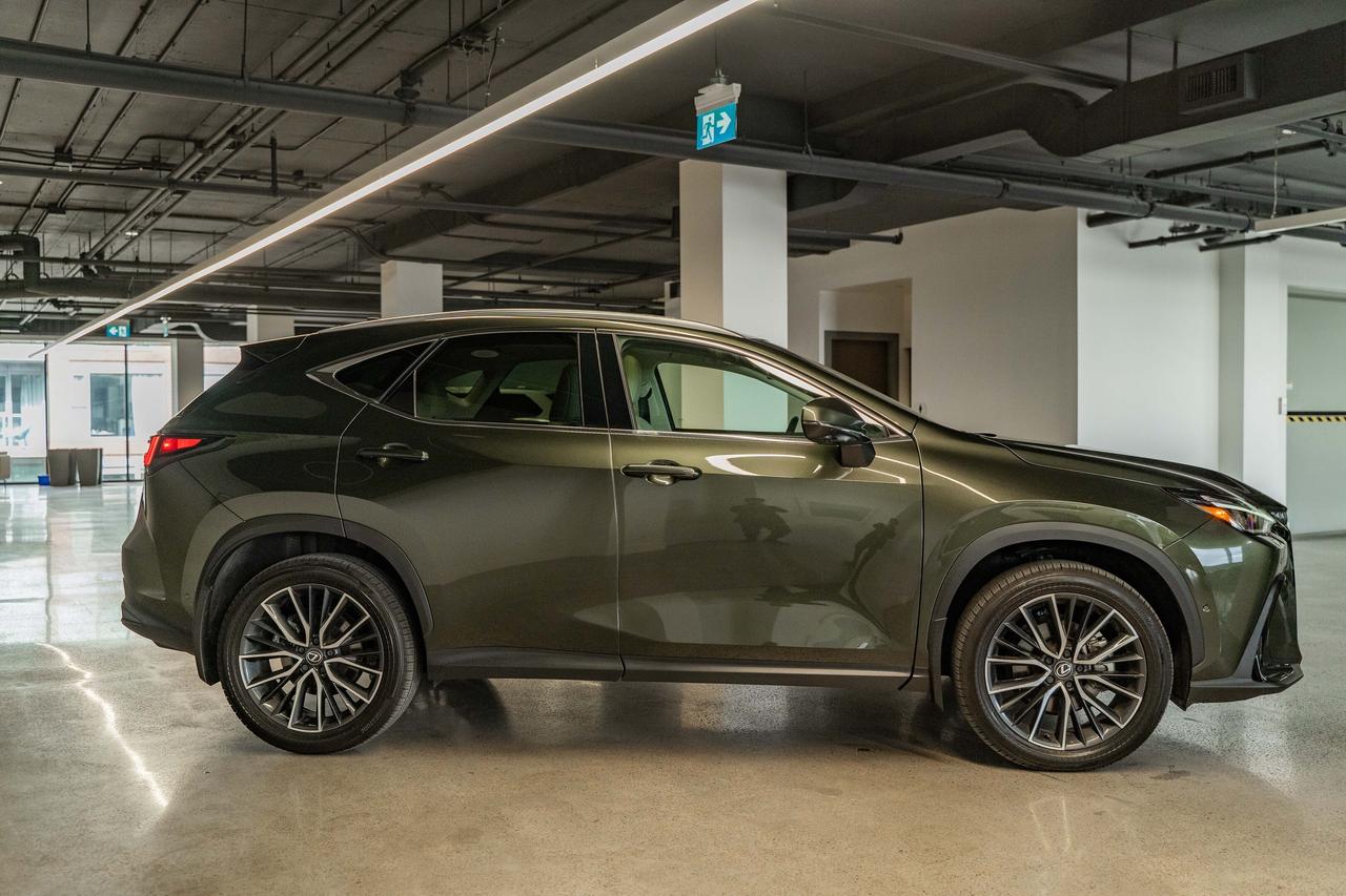 2025 Lexus NX Executive Pkg Nori Green on Macadamia Photo