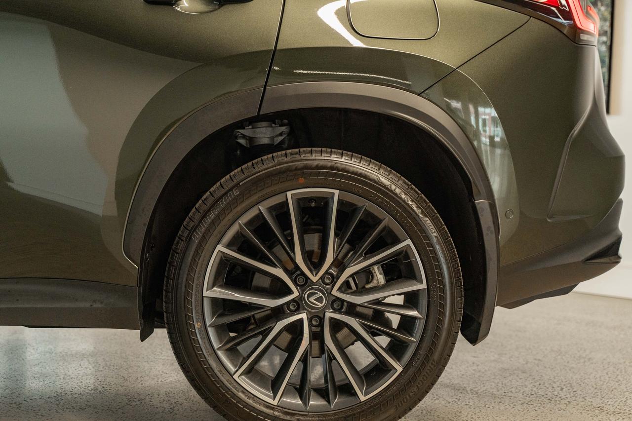 2025 Lexus NX Executive Pkg Nori Green on Macadamia Photo