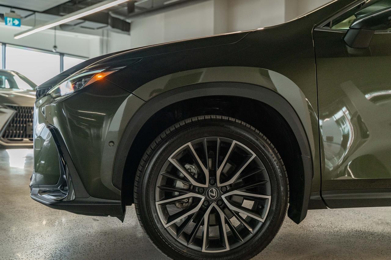 2025 Lexus NX Executive Pkg Nori Green on Macadamia Photo