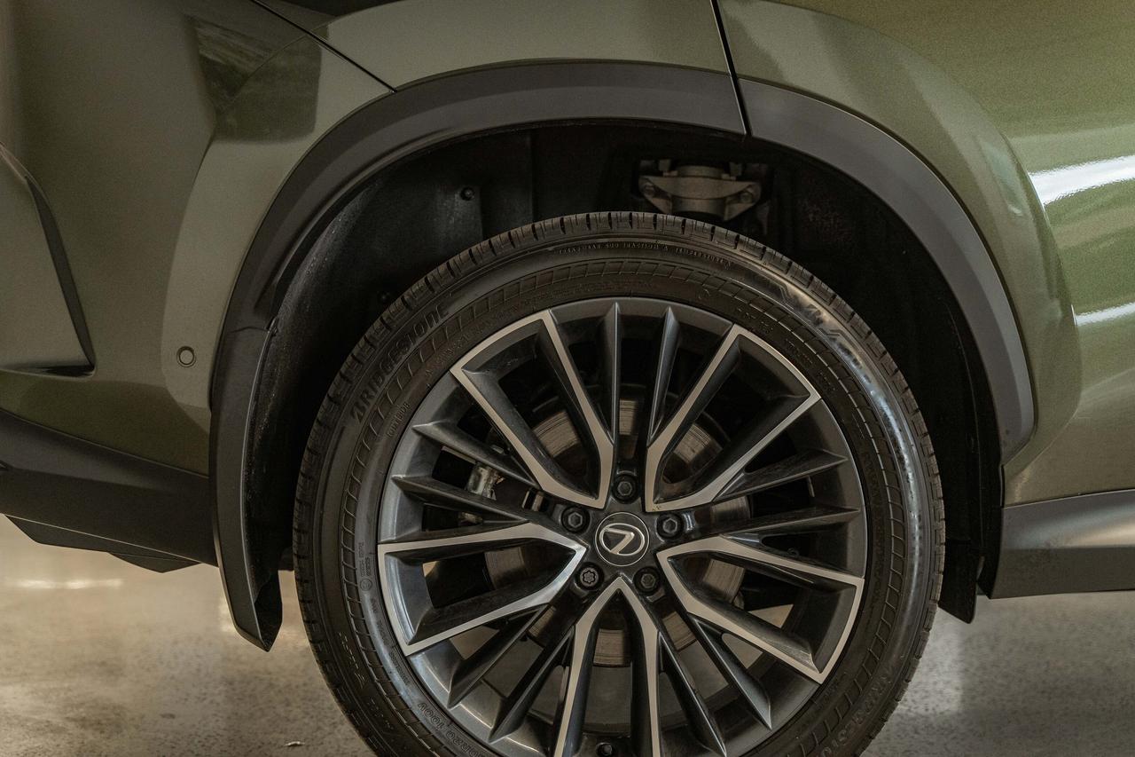 2025 Lexus NX Executive Pkg Nori Green on Macadamia Photo