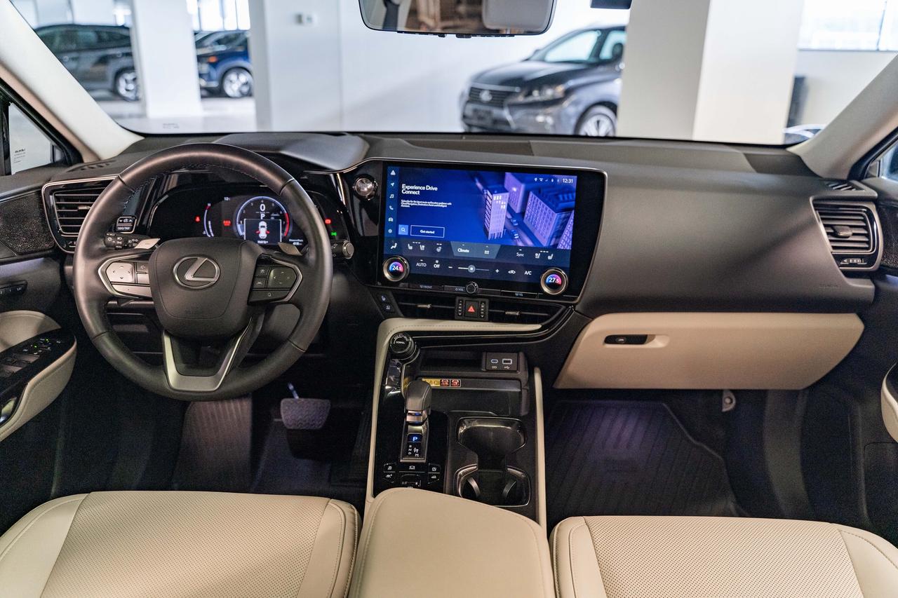 2025 Lexus NX Executive Pkg Nori Green on Macadamia Photo