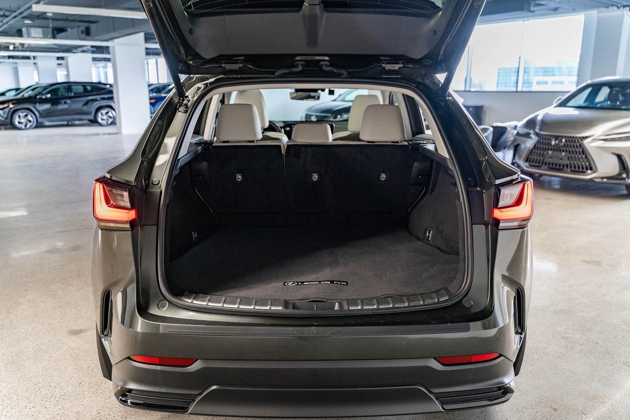 2025 Lexus NX Executive Pkg Nori Green on Macadamia Photo