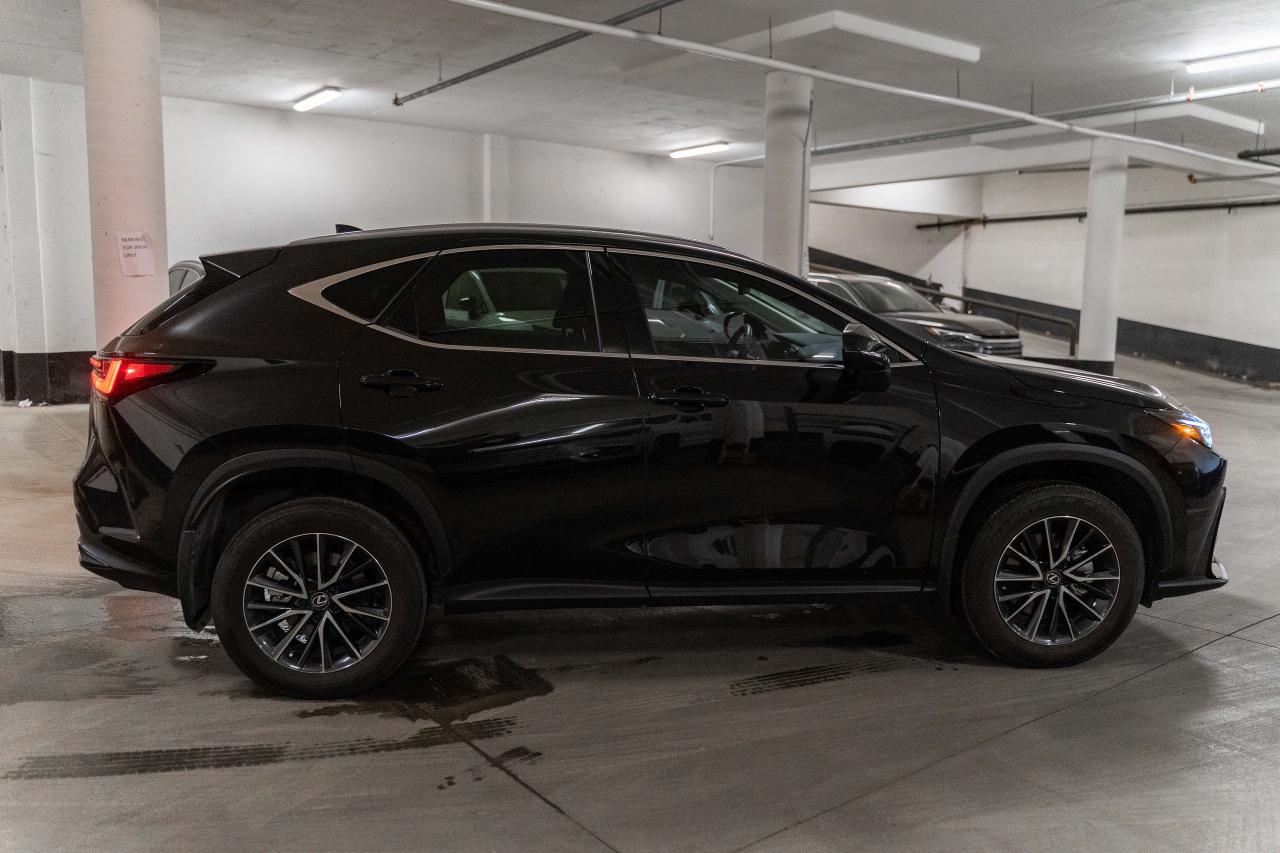 2025 Lexus NX Premium Pkg Safety Certified Welcome Trades Photo