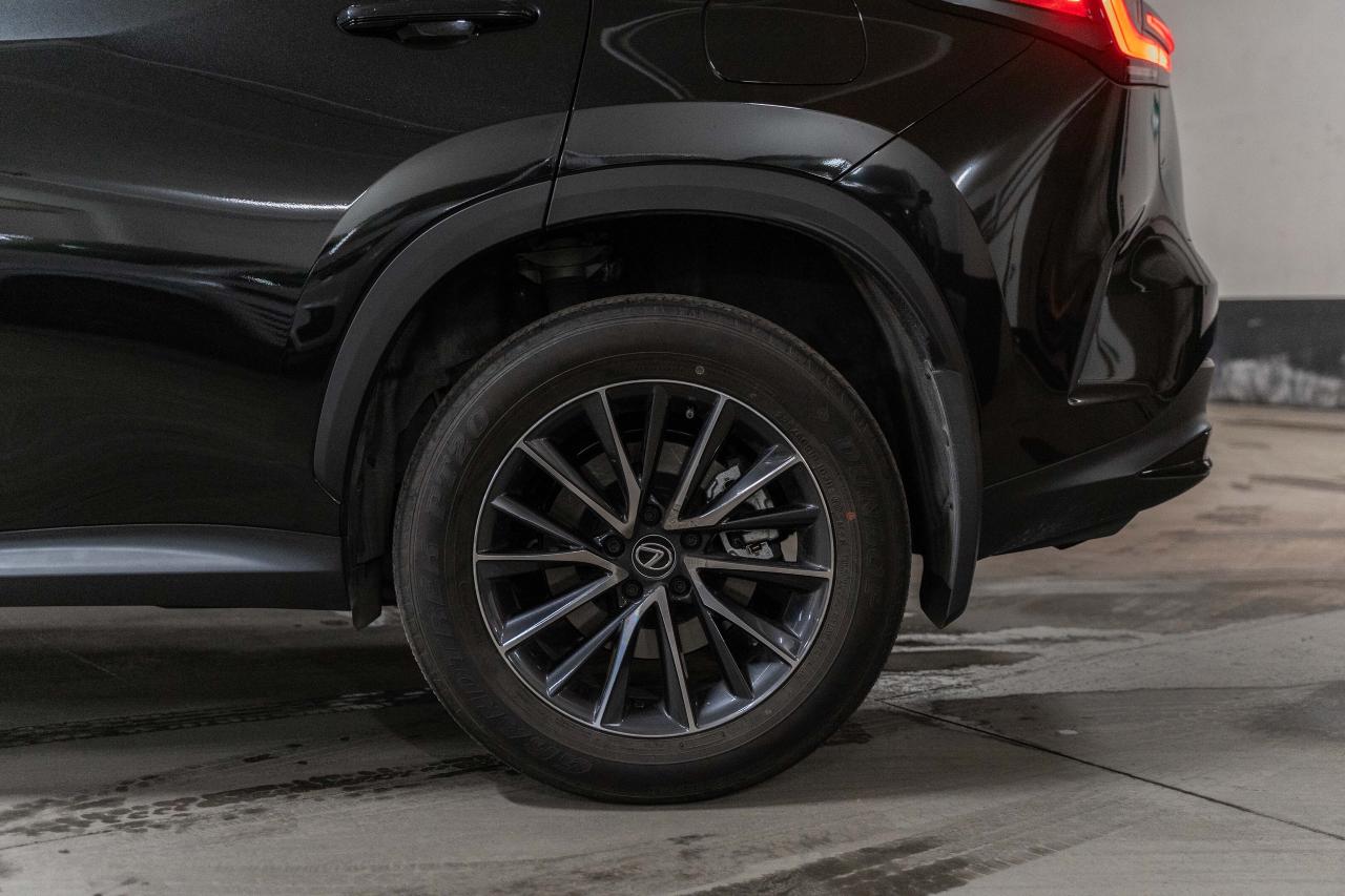 2025 Lexus NX Premium Pkg Safety Certified Welcome Trades Photo