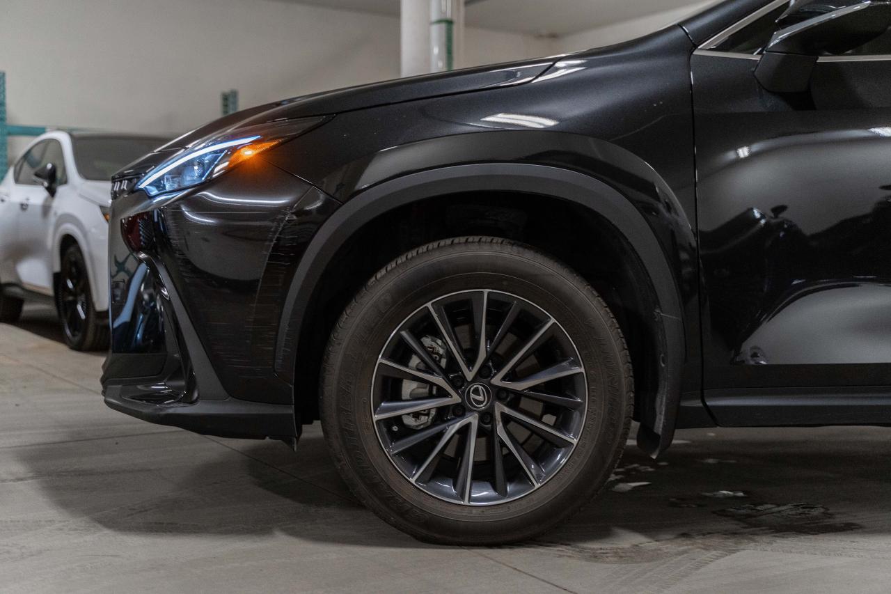 2025 Lexus NX Premium Pkg Safety Certified Welcome Trades Photo