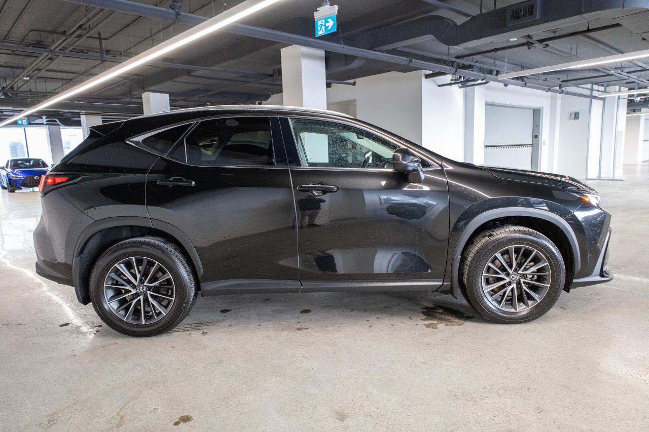 2025 Lexus NX Premium Pkg Safety Certified Welcome Trades Photo