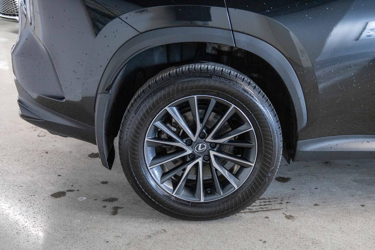 2025 Lexus NX Premium Pkg Safety Certified Welcome Trades Photo