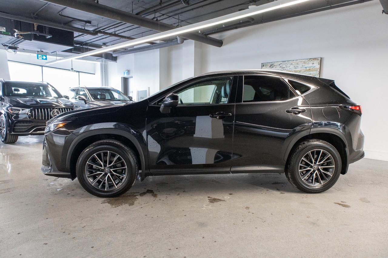 2025 Lexus NX Premium Pkg Safety Certified Welcome Trades Photo