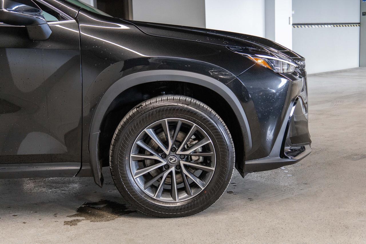 2025 Lexus NX Premium Pkg Safety Certified Welcome Trades Photo