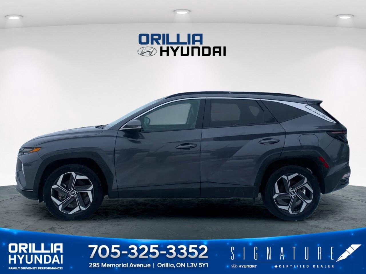 2023 Hyundai Tucson Hybrid Luxury AWD Photo