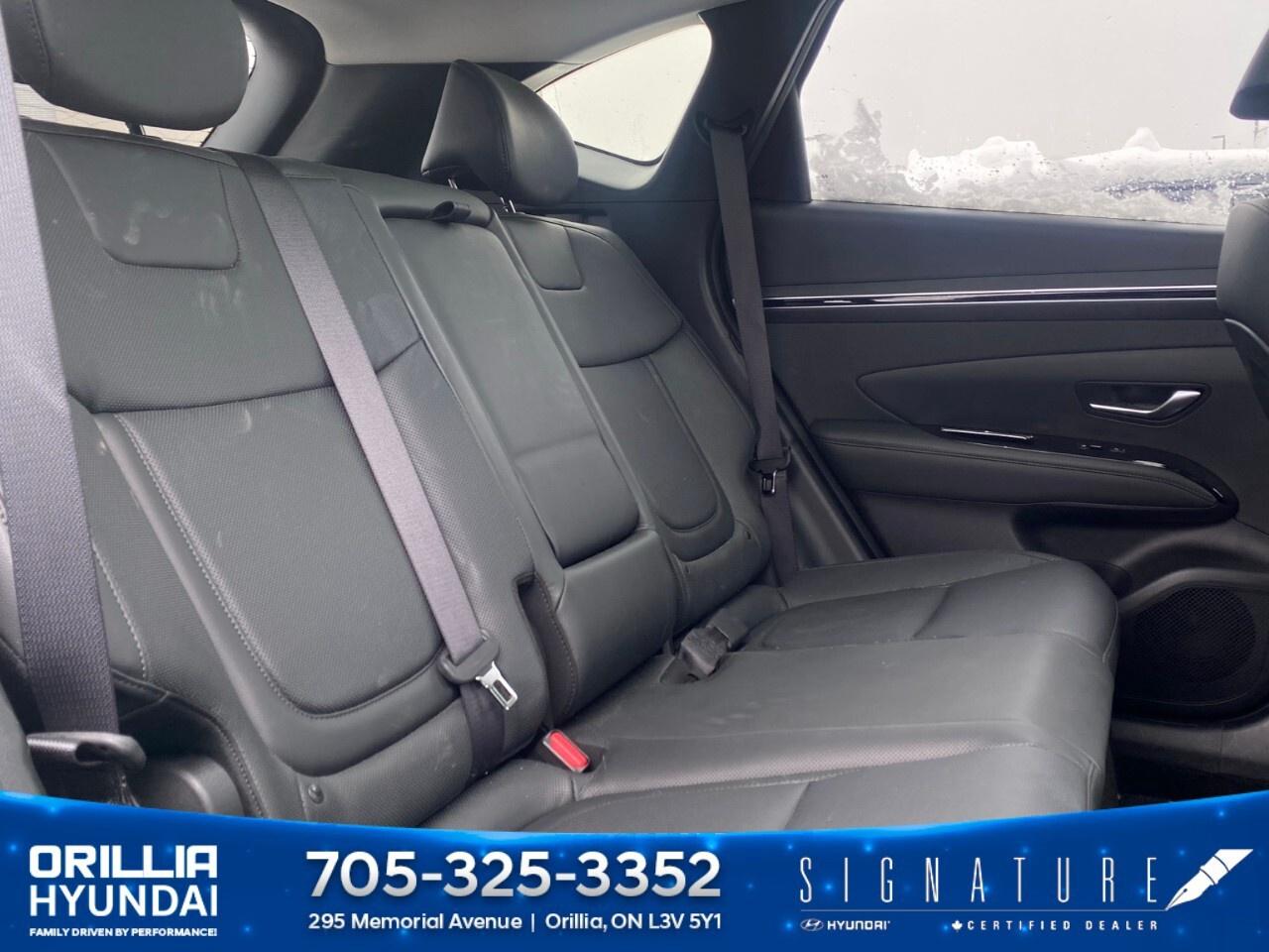 2023 Hyundai Tucson Hybrid Luxury AWD Photo