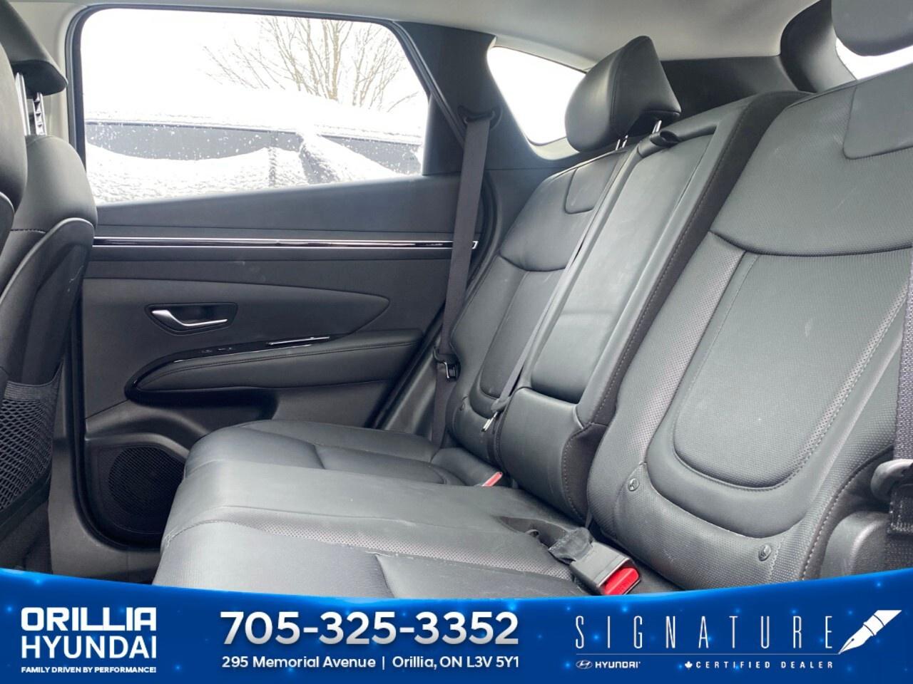 2023 Hyundai Tucson Hybrid Luxury AWD Photo