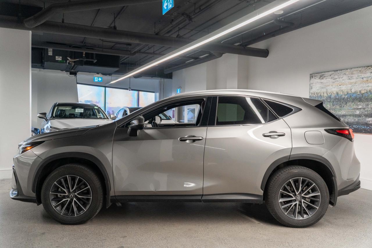 2024 Lexus NX Premium Pkg Fuel Sipper AWD Lexus Certified Photo