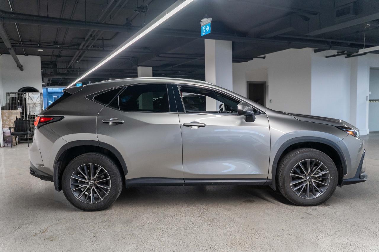 2024 Lexus NX Premium Pkg Fuel Sipper AWD Lexus Certified Photo