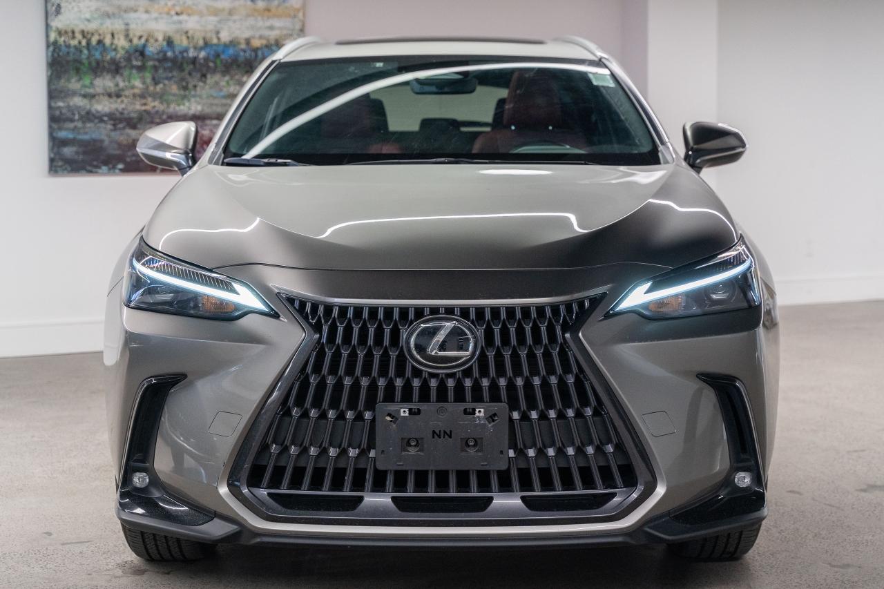 2024 Lexus NX Premium Pkg Fuel Sipper AWD Lexus Certified Photo