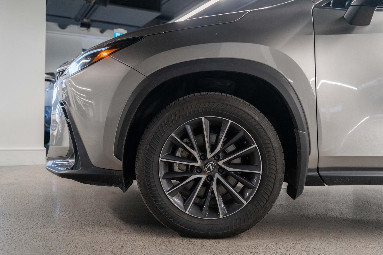 2024 Lexus NX Premium Pkg Fuel Sipper AWD Lexus Certified Photo