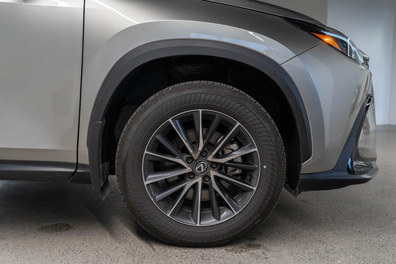 2024 Lexus NX Premium Pkg Fuel Sipper AWD Lexus Certified Photo