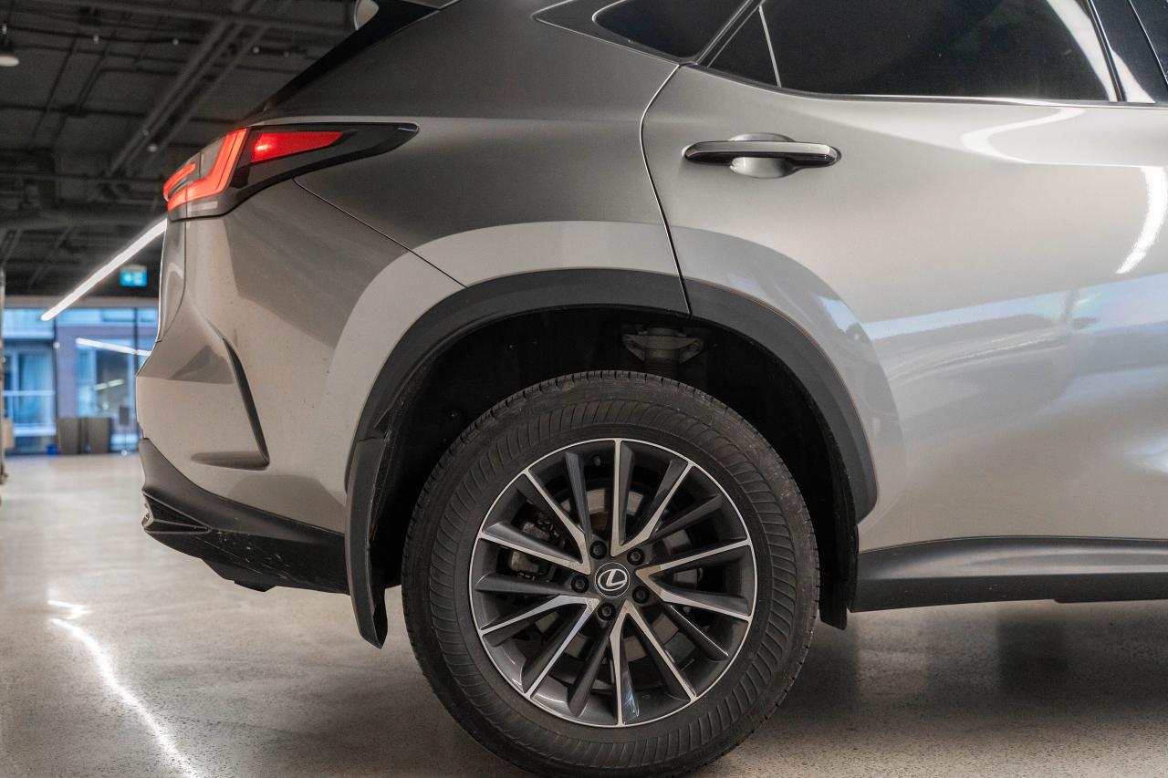 2024 Lexus NX Premium Pkg Fuel Sipper AWD Lexus Certified Photo