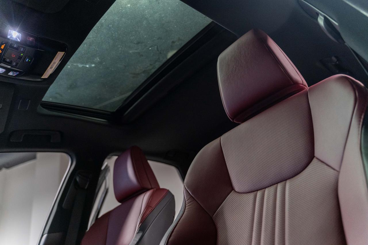 2024 Lexus NX Premium Pkg Fuel Sipper AWD Lexus Certified Photo