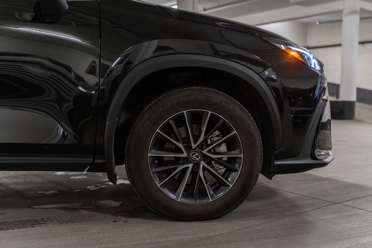2024 Lexus NX Premium Pkg Safety Certified Welcome Trades Photo