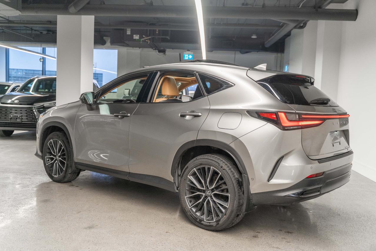 2025 Lexus NX 350h Executive Pkg Fuel Sipper Welcome Trades Photo