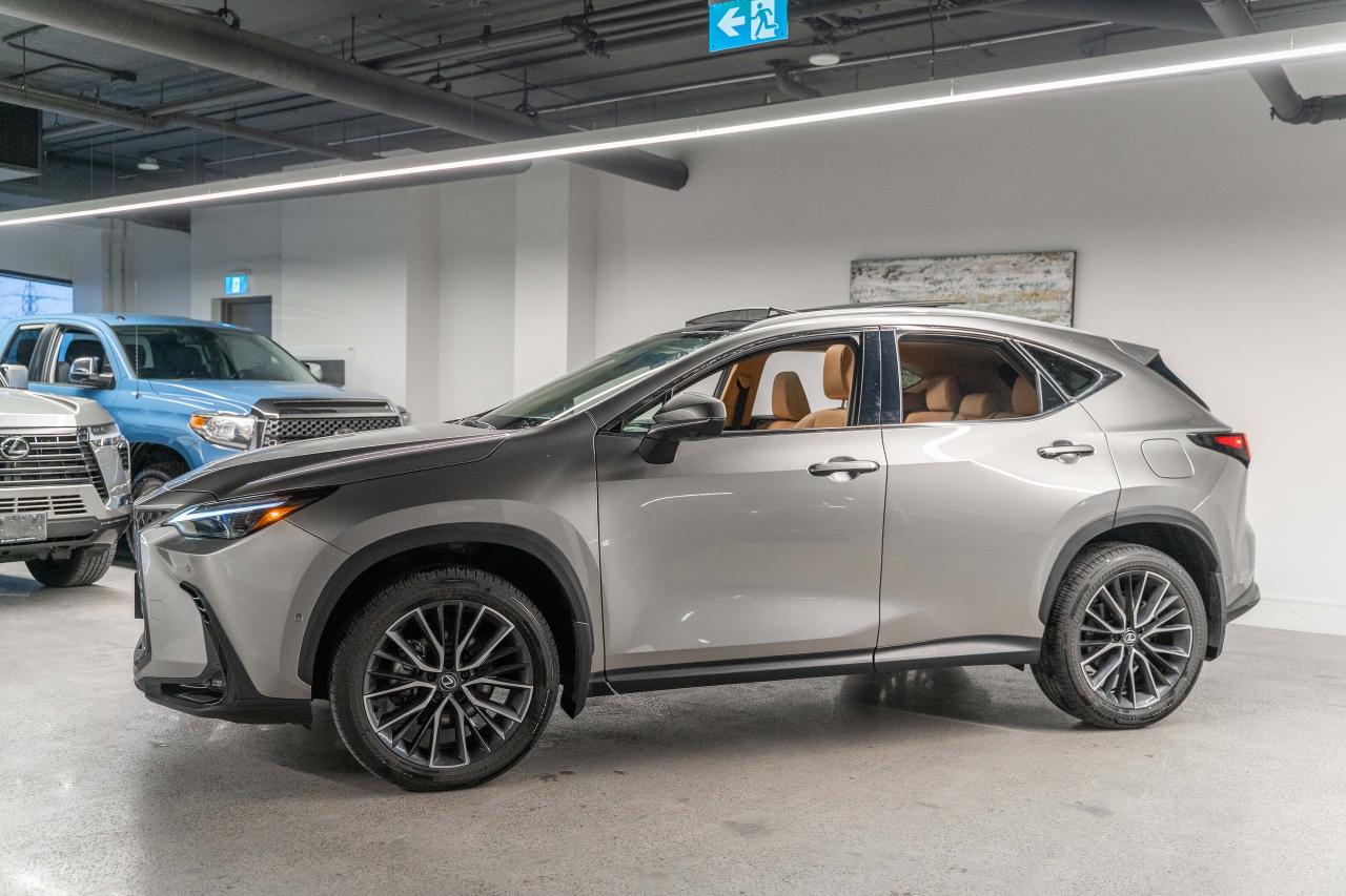 2025 Lexus NX 350h Executive Pkg Fuel Sipper Welcome Trades Photo2